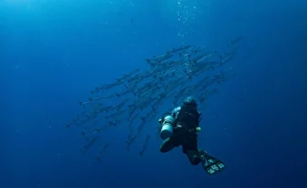 Buceo científico: así se usa la tecnología para cuidar nuestras costas