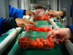 Tecnología y simplificación del cumplimiento normativo de productos