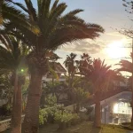 Vistas al atardecer con palmeras y jardín en una vivienda en Tenerife, gestionada por ML Tenerife Real Estate