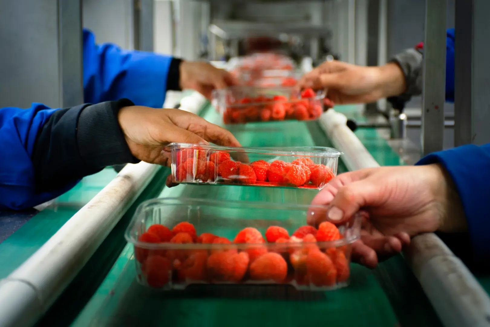 Tecnología y simplificación del cumplimiento normativo de productos