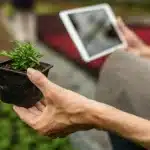 Persona utilizando una tablet para controlar un huerto en casa