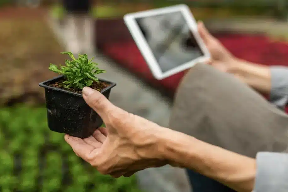 Tecnología agrícola para tu huerto en casa: qué merece la pena